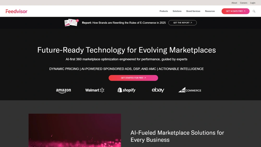 Feedvisor review 2025 hero — product timeline and strategy highlights